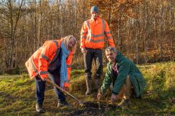 Cllr Renwick plants tree