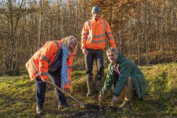 Tree planting in Glapwell