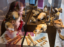 Museum visitors