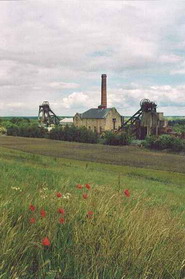 Pleasley Pit View