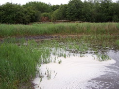 Doe Lea Local Nature Reserve