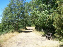 Rowthorne nature reserve